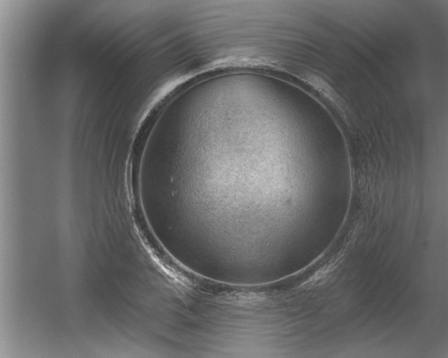 X0000060561030200511070942