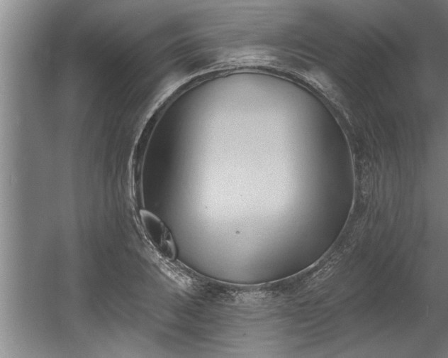 X0000060561031200511070942