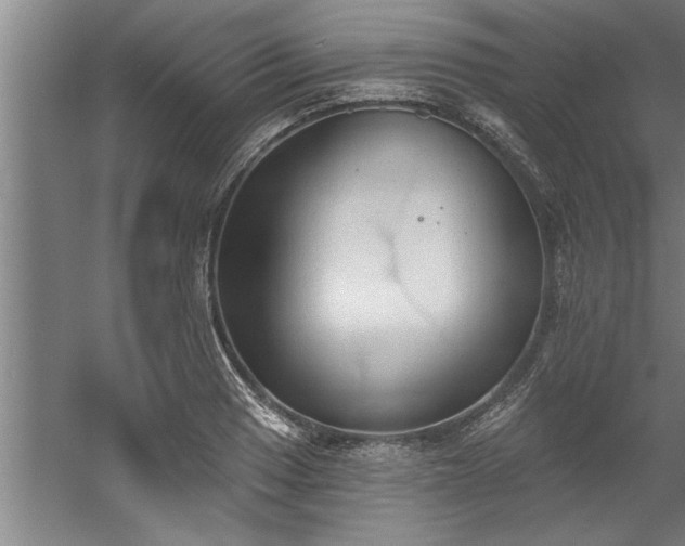 X0000060561033200511070942