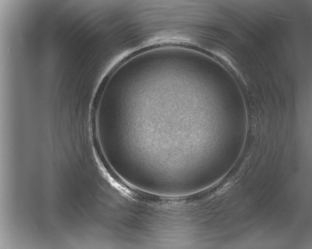 X0000060561038200511070942