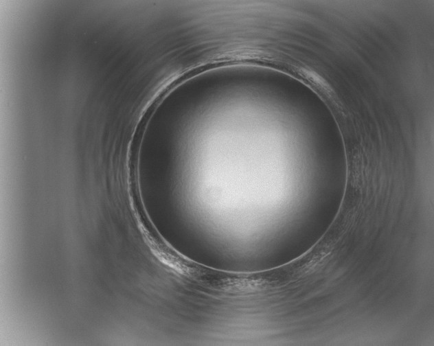 X0000060561039200511070942