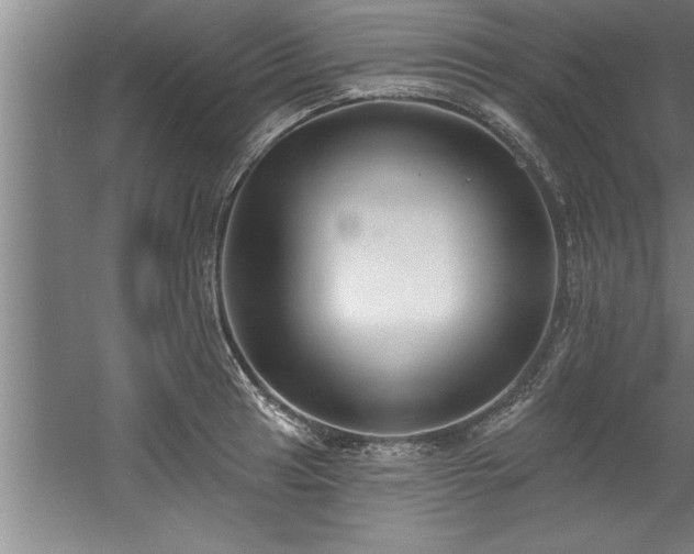 X0000060561041200511070942