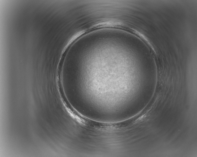 X0000060561042200511070942