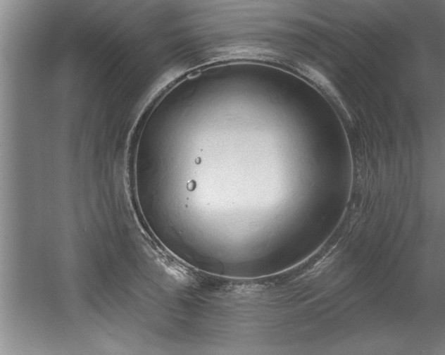 X0000060561043200511070942