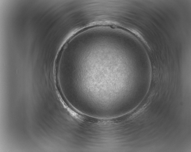 X0000060561046200511070942