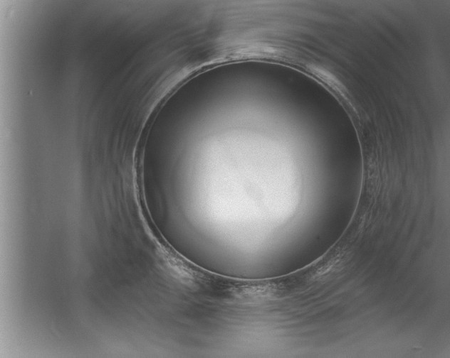 X0000060561047200511070942