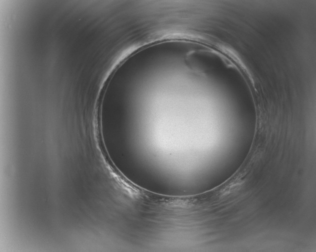 X0000060561048200511070942