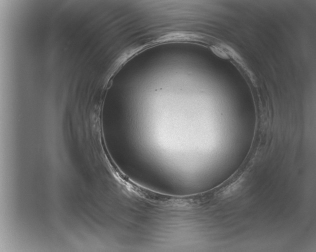 X0000060561049200511070942