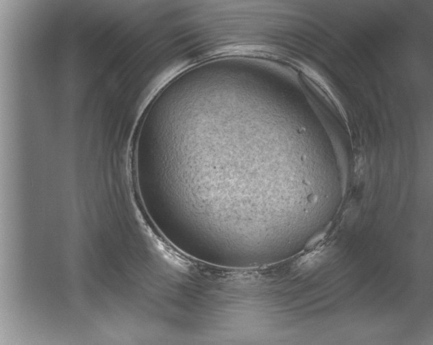 X0000060561050200511070942