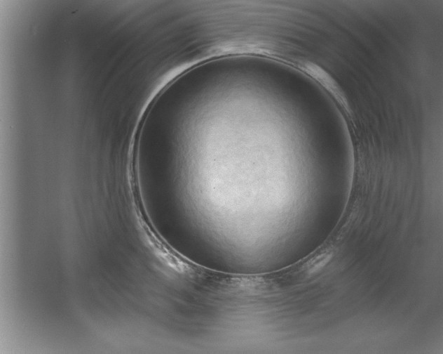 X0000060561052200511070942