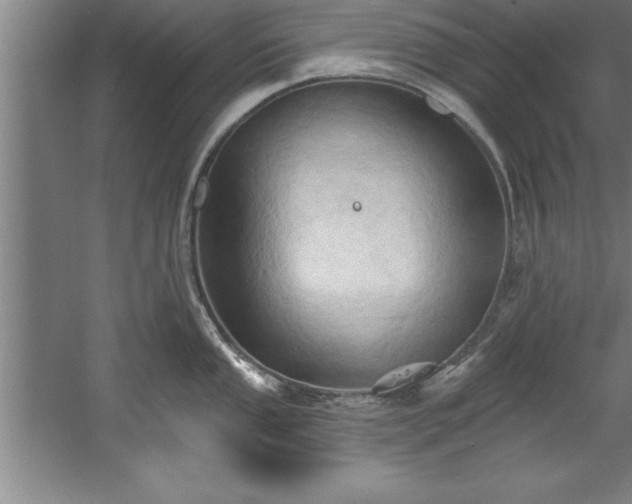 X0000060561053200511070942