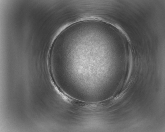 X0000060561054200511070942