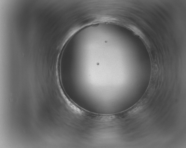 X0000060561055200511070942