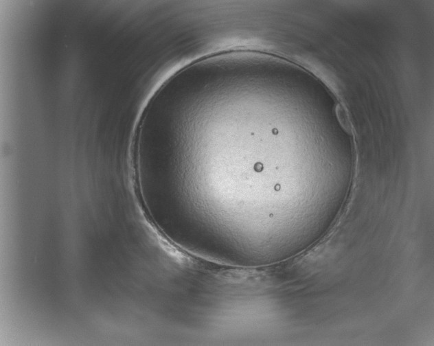 X0000060561056200511070942