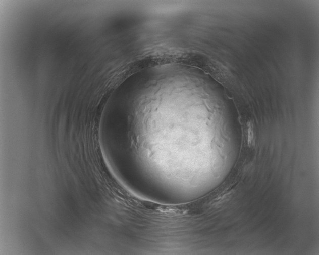 X0000060561059200511070942