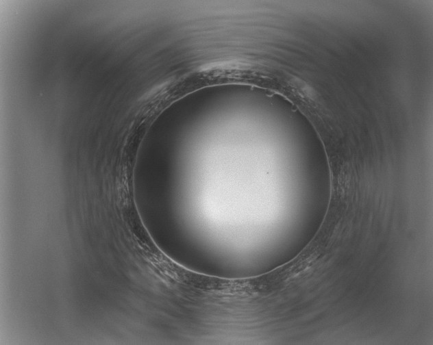 X0000060561062200511070942