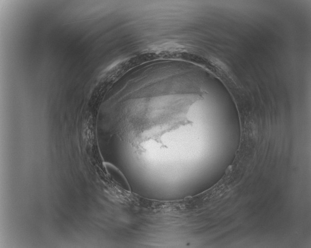 X0000060561063200511070942