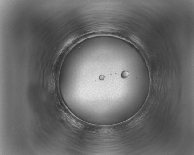 X0000060561067200511070941