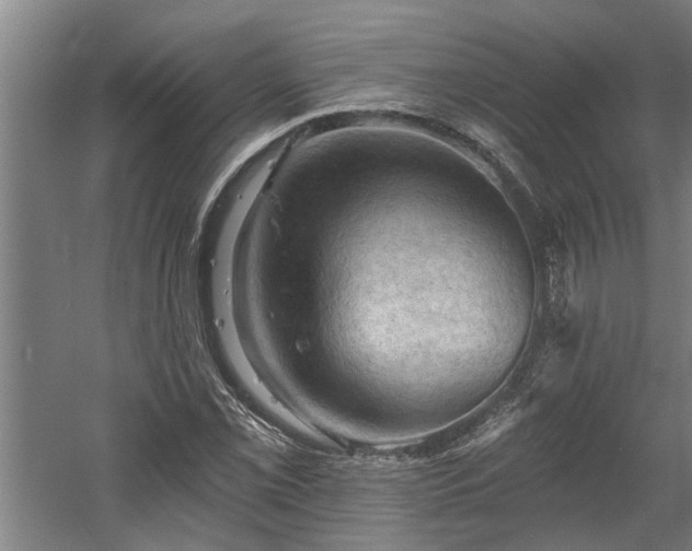 X0000060561069200511070941