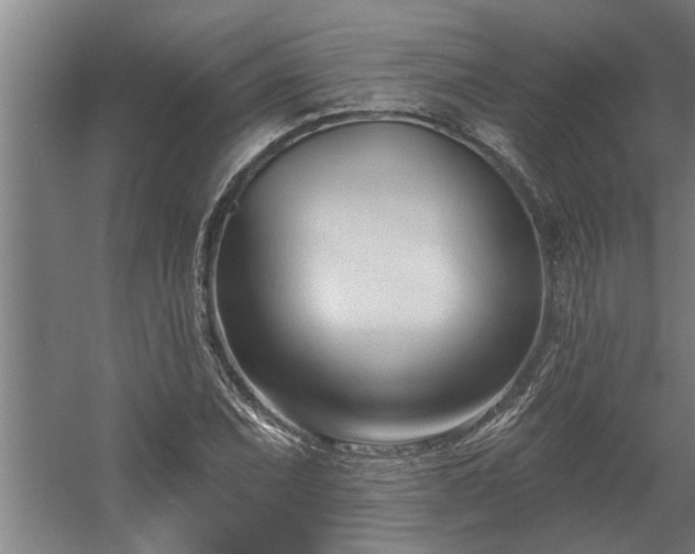 X0000060561071200511070941