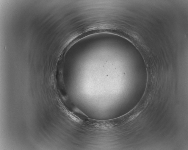 X0000060561073200511070941