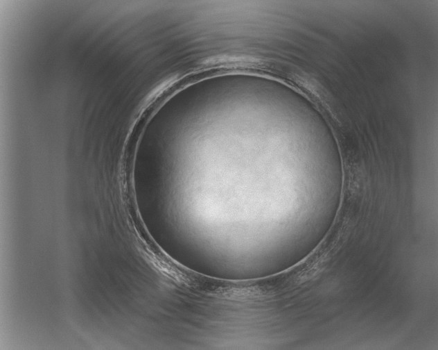 X0000060561074200511070941