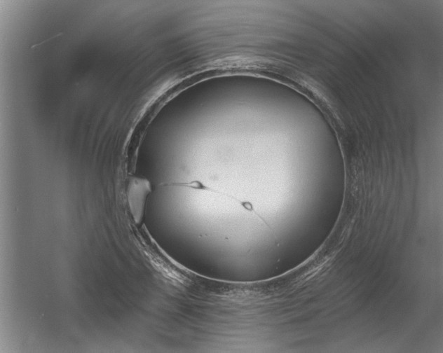 X0000060561075200511070941