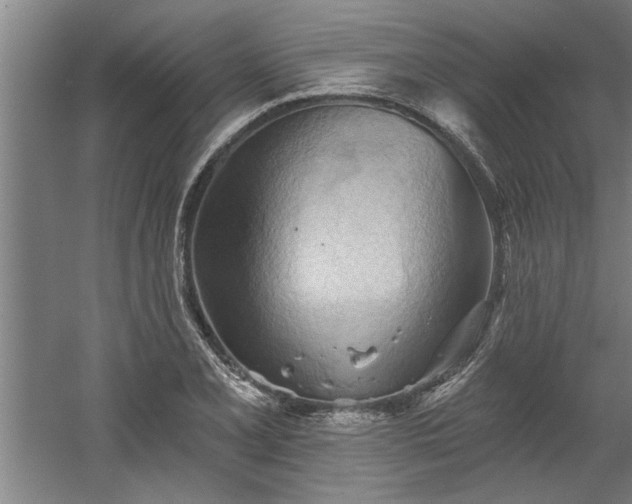 X0000060561077200511070941