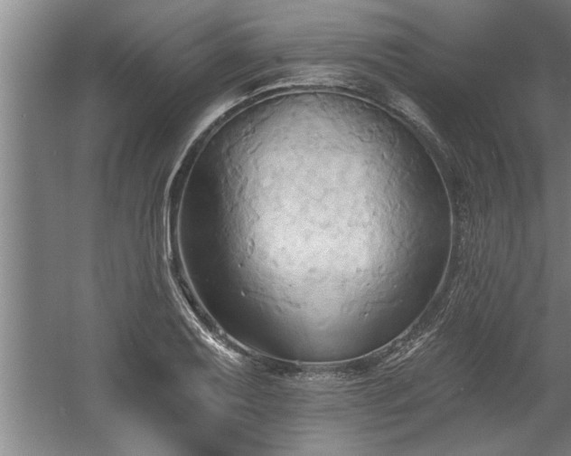 X0000060561079200511070941