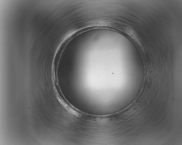 X0000060561080200511070941