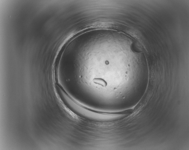 X0000060561083200511070941