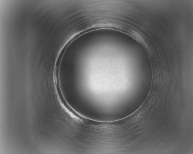 X0000060561084200511070941