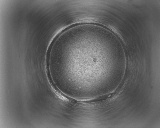 X0000060561085200511070941