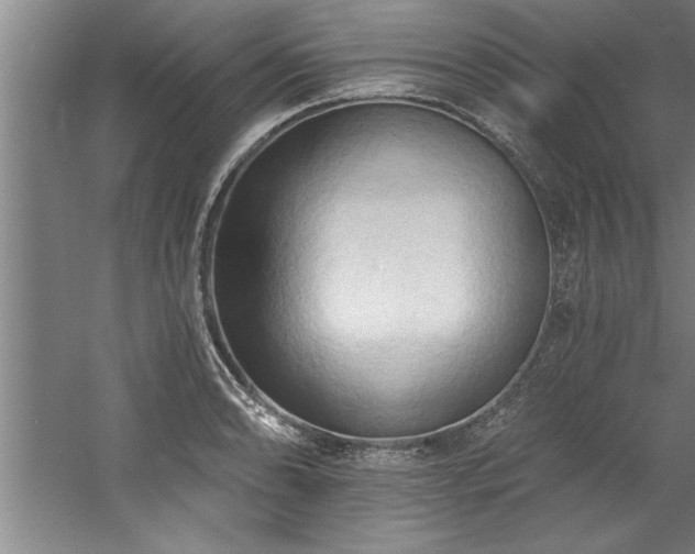 X0000060561086200511070941