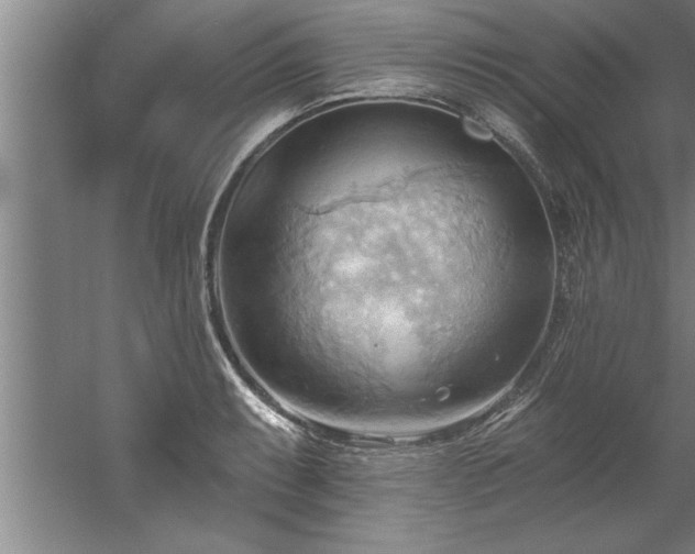 X0000060561087200511070941