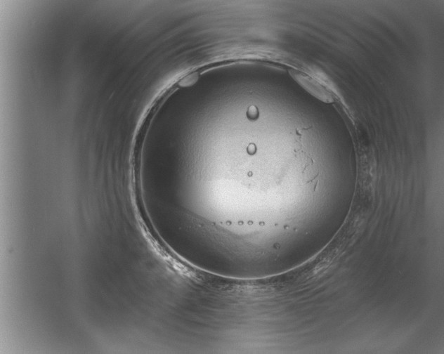 X0000060561088200511070941