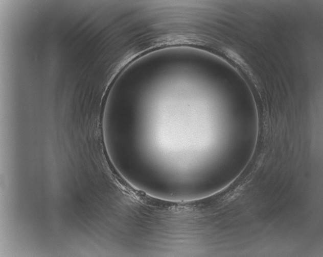 X0000060561089200511070941