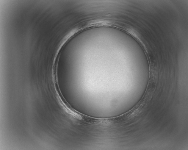 X0000060561090200511070941