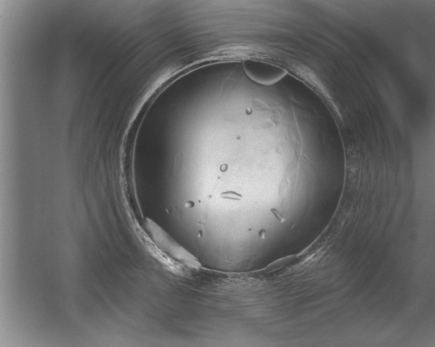 X0000060561091200511070941