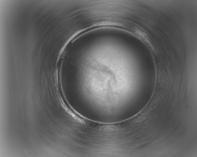 X0000060561092200511070941