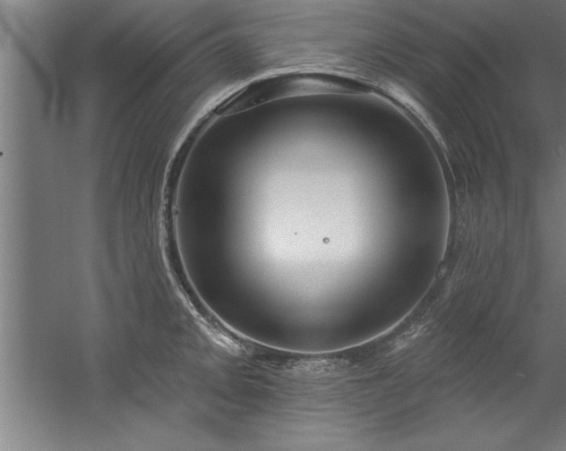 X0000060561093200511070941