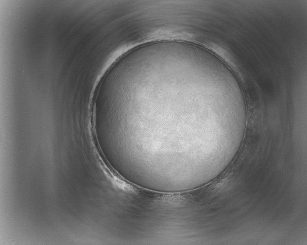 X0000060561094200511070941