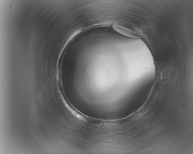 X0000060561095200511070941