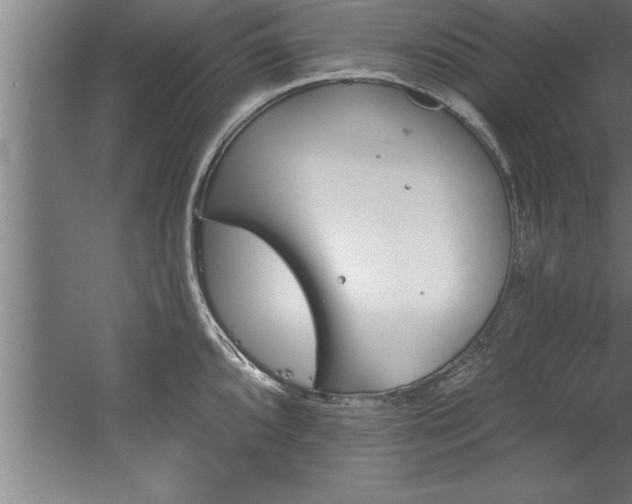 X0000060561096200511070941