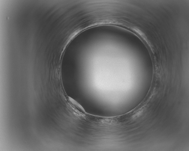 X0000060561097200511070941