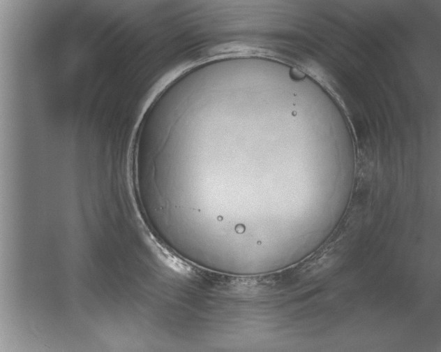 X0000060561098200511070941