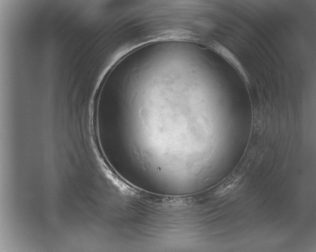 X0000060561099200511070941