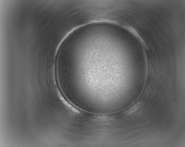 X0000060561100200511070941