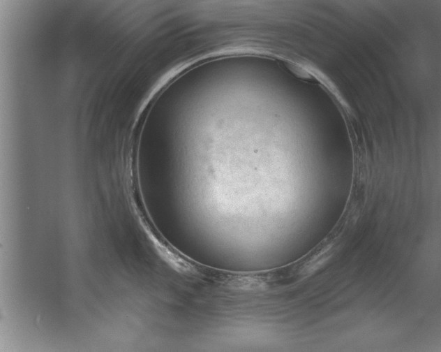 X0000060561101200511070941