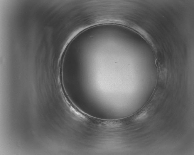 X0000060561102200511070941